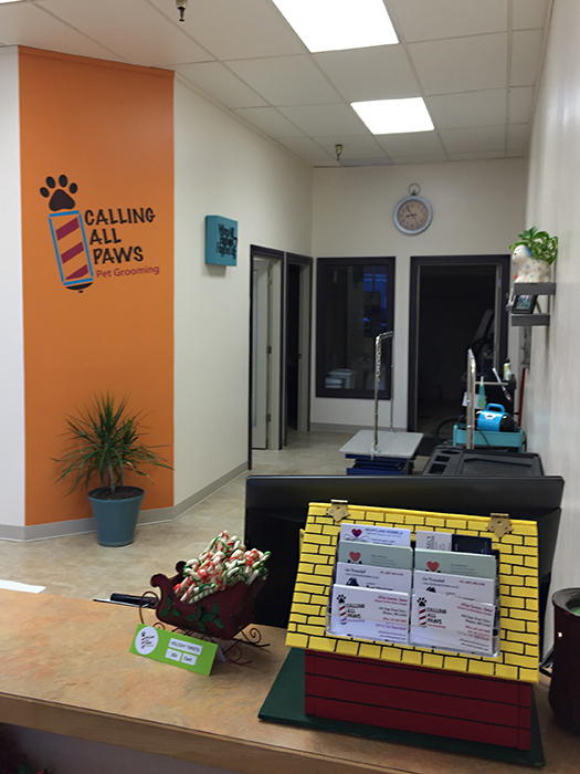 Dog & Grooming Services | Calling All Paws