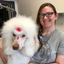 Calling All Paws Mankato | Stylist Sarah Hayes