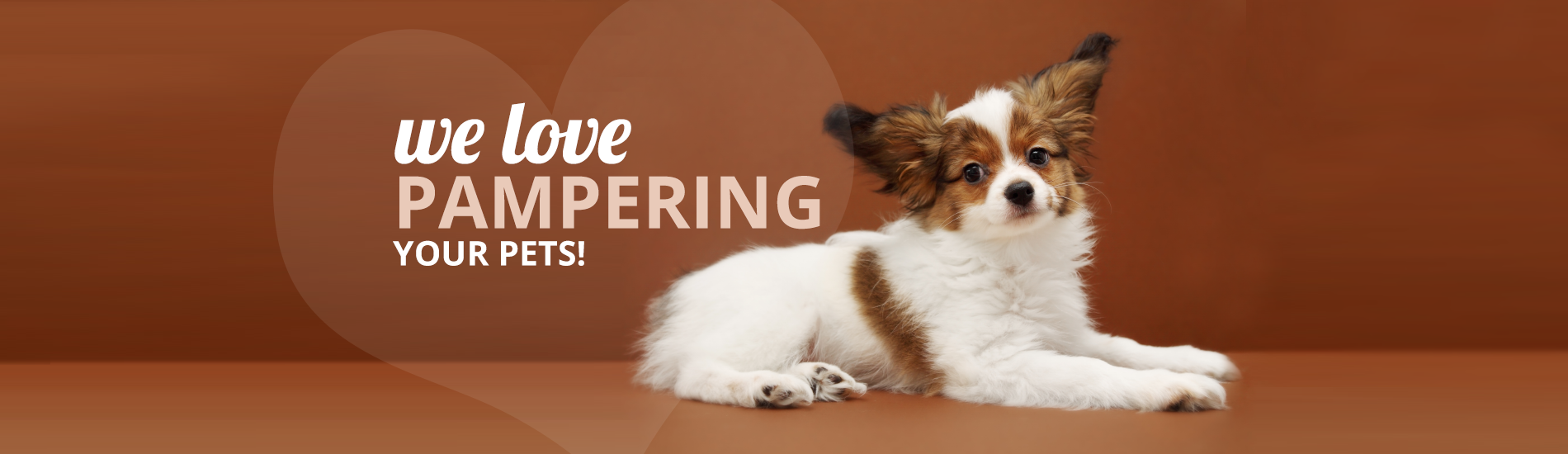 Calling All Paws | We Love Pampering Your Pets