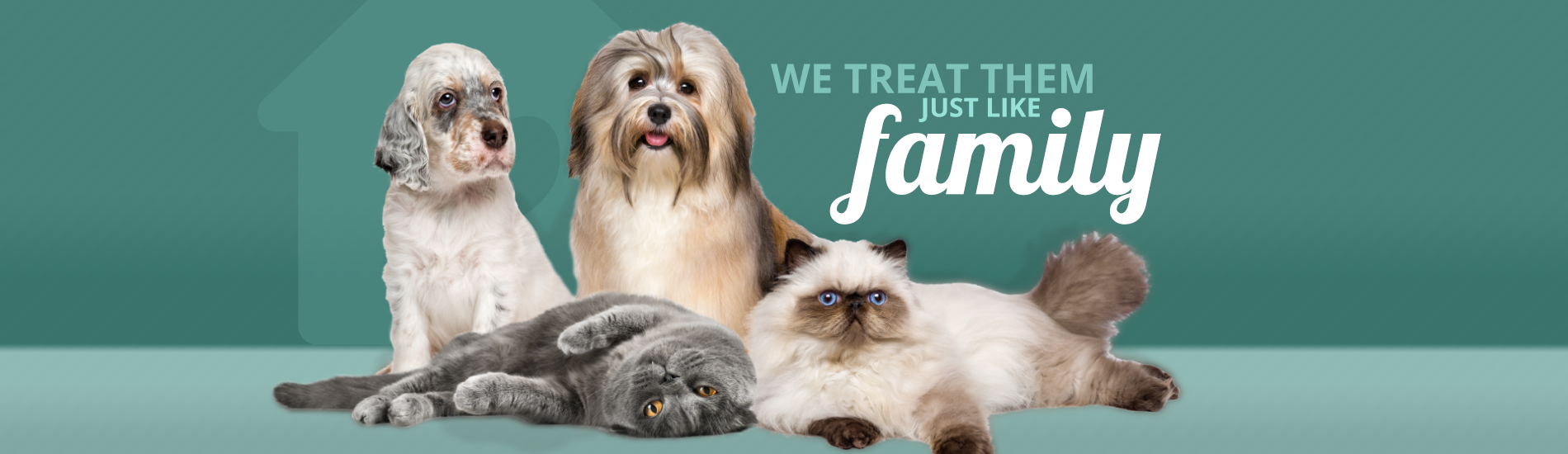 Calling All Paws | We Treat Them Just Like Family