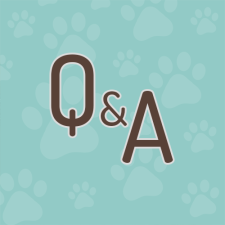 Our Resources | Calling All Paws