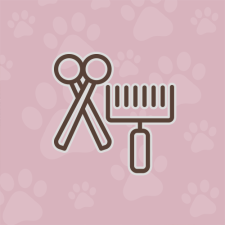 Professional Pet Grooming Services | Calling All Paws